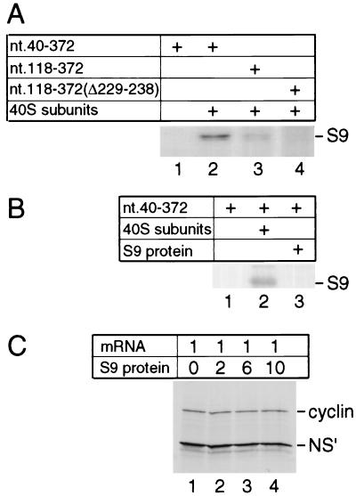 FIG. 6