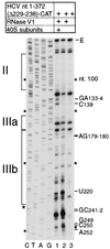 FIG. 5