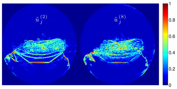 Fig. 2