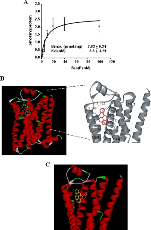 FIGURE 7.