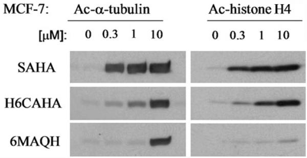 Fig. 14.1