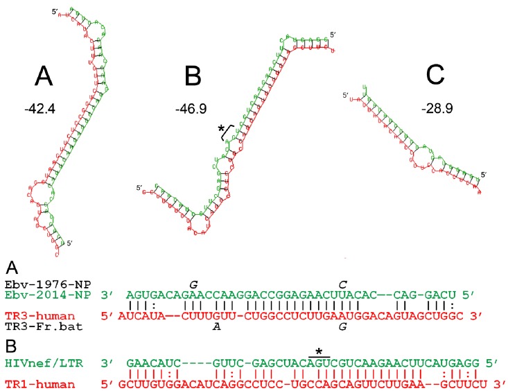 Fig. (1)