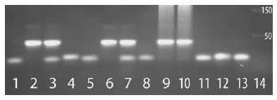 Fig. (2)