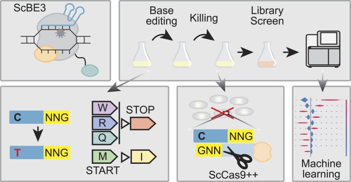Graphical Abstract