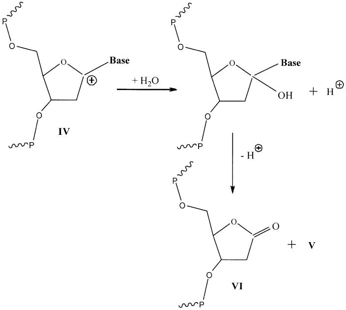 SCHEME 2