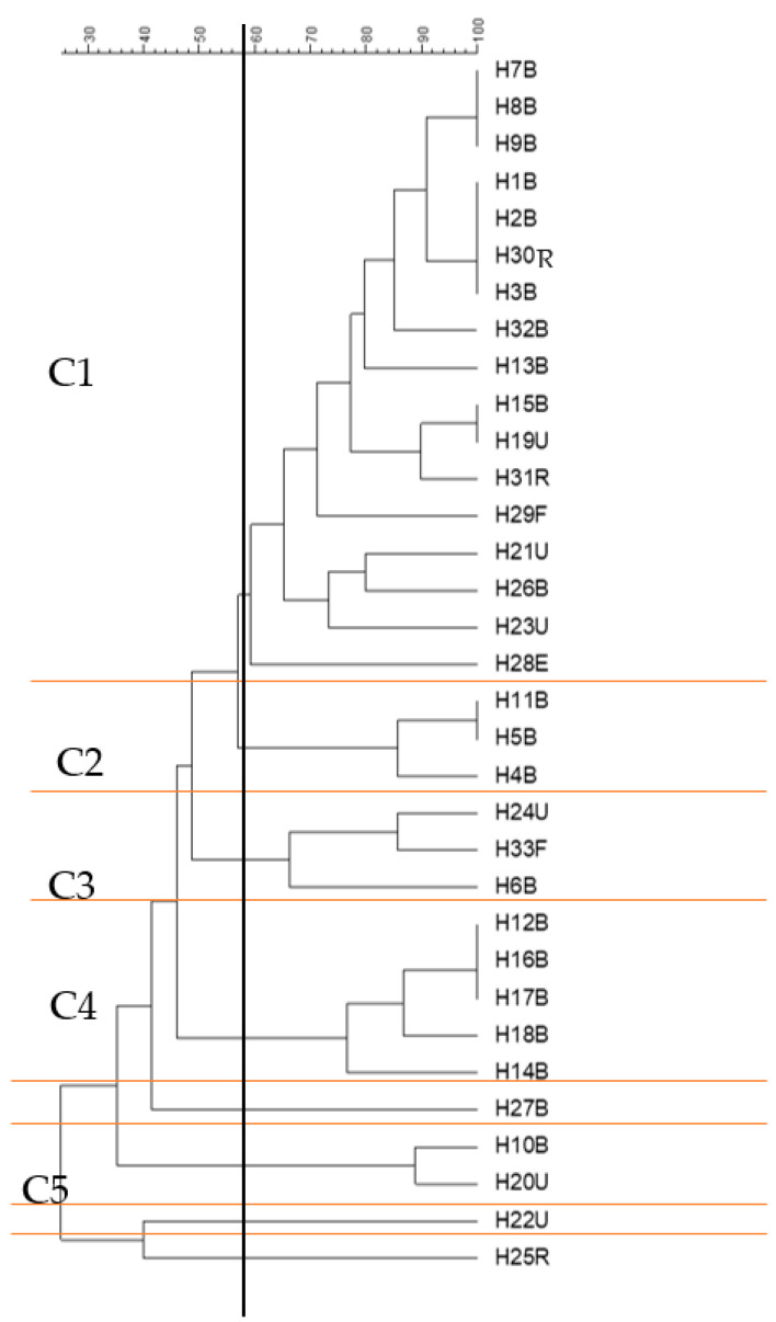 Figure 5