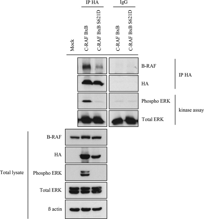 FIGURE 11.