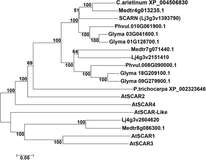 Fig 6