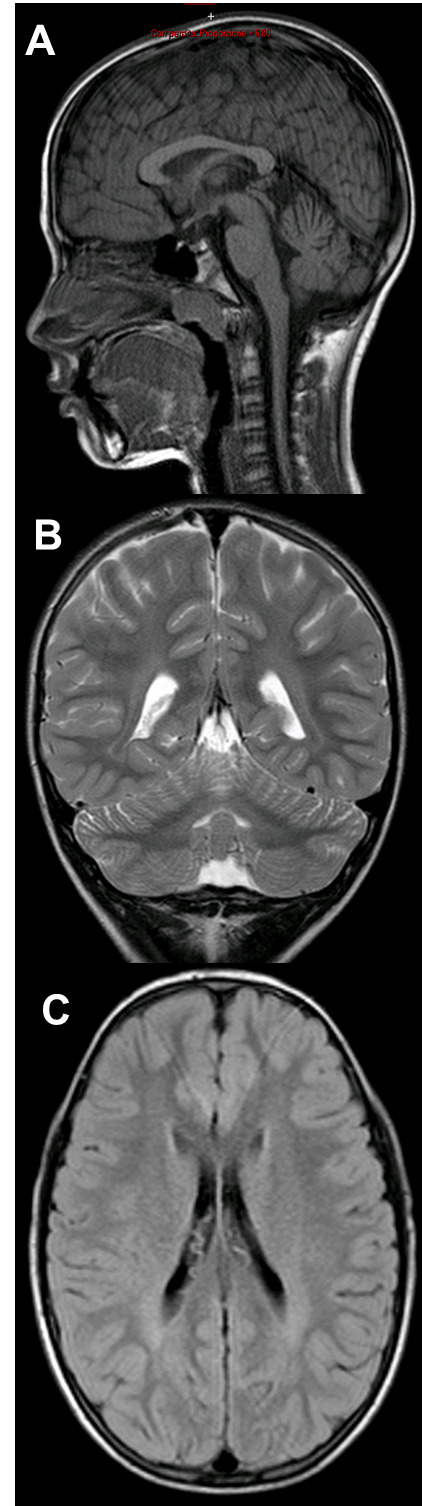 Figure 2.