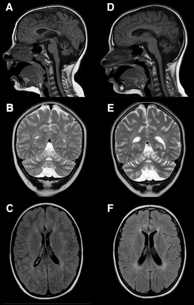 Figure 1.