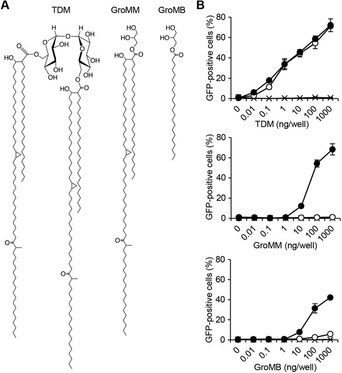 FIGURE 1.