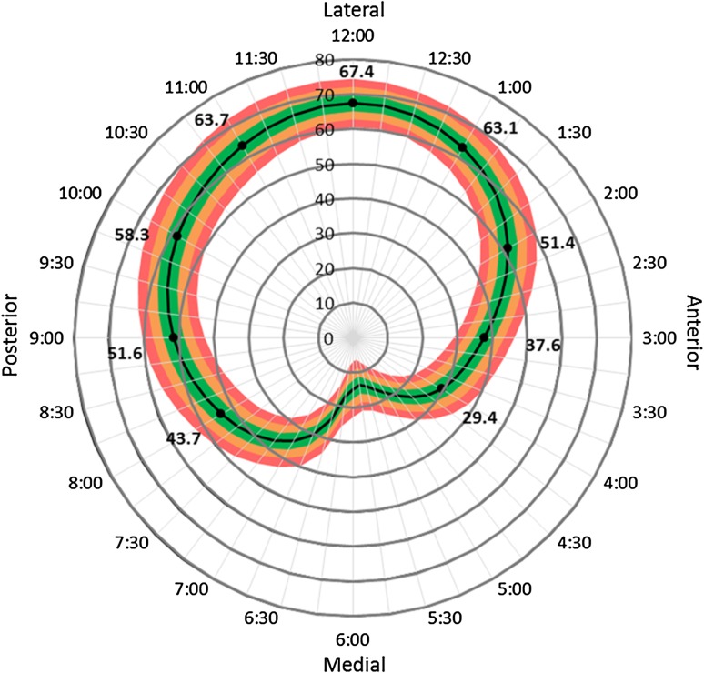 Fig. 1