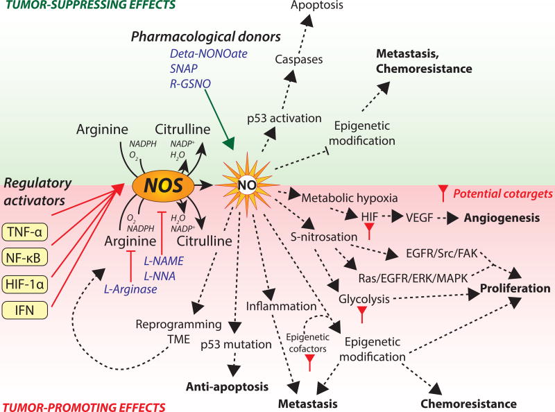 Figure 1, Key Figure