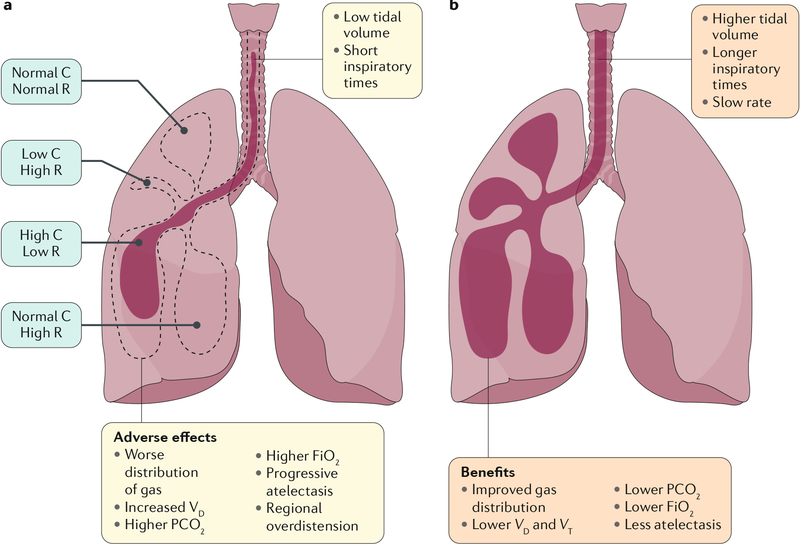 Fig. 7 |