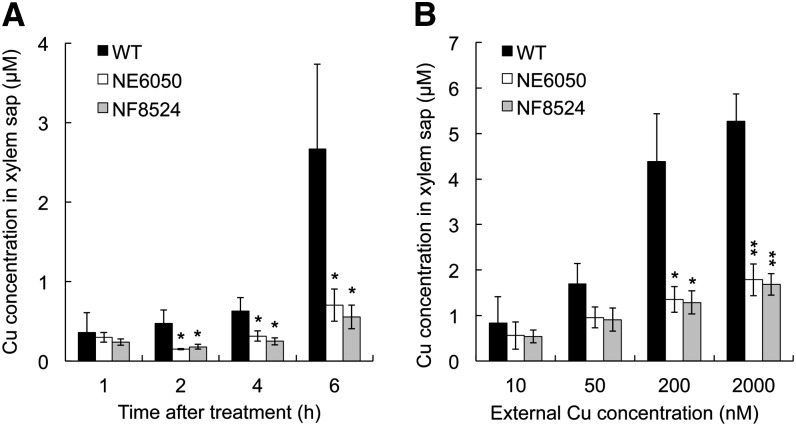 Figure 7.