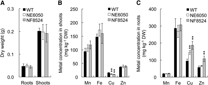 Figure 4.