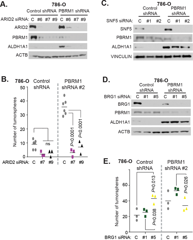 Fig 6.