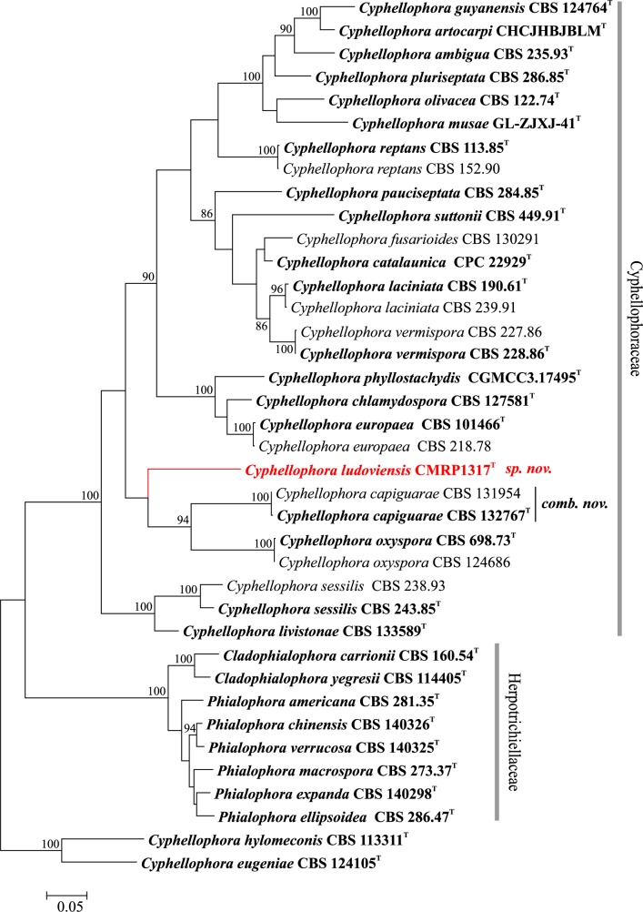 Fig 2