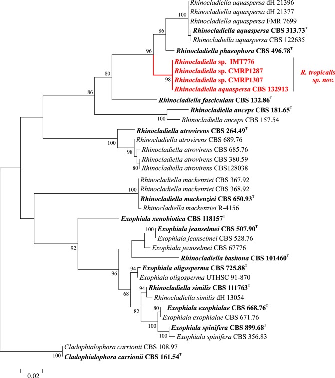 Fig 3