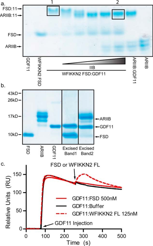 Figure 3.