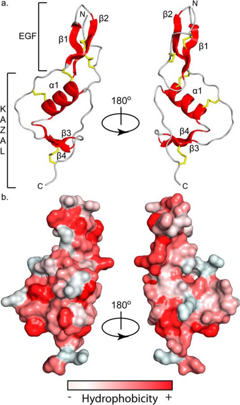 Figure 4.