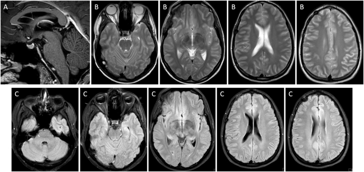 Supplementary Fig. 1