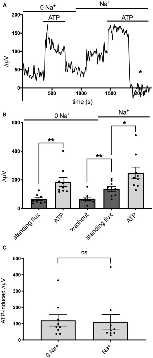 Figure 7