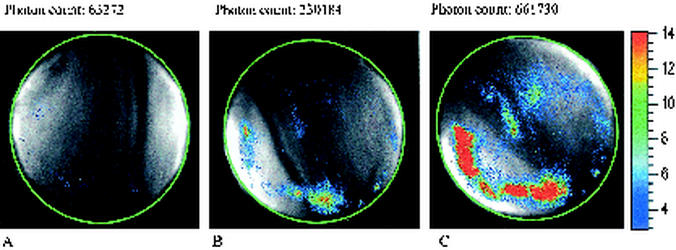 FIG. 1.