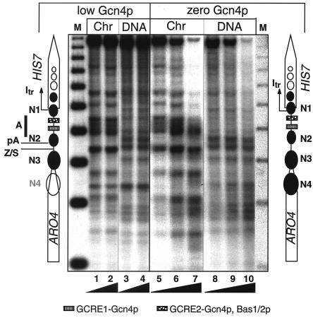 FIG. 2.