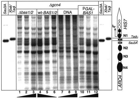 FIG. 4.