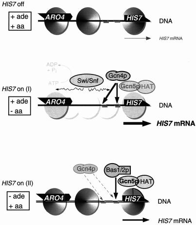 FIG. 8.