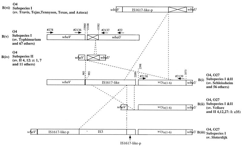 FIG. 2.