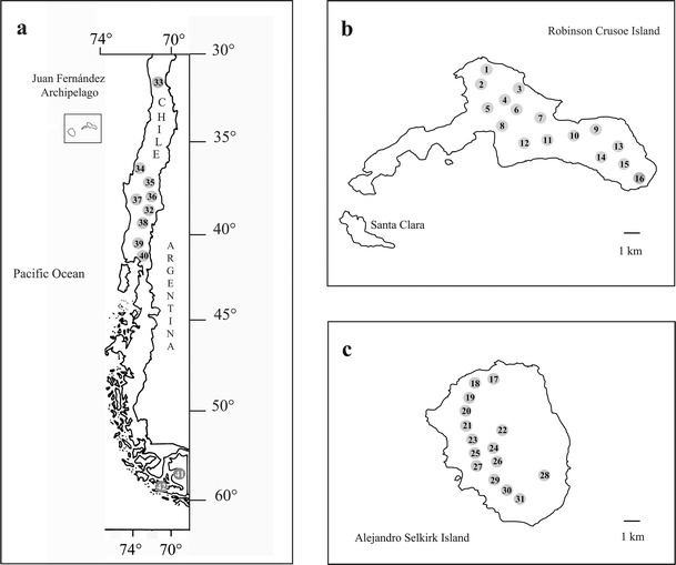 Fig. 1