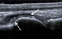 Fig 4.