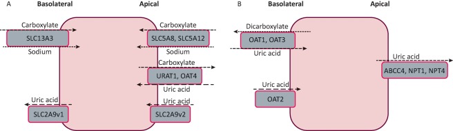 Fig 1.