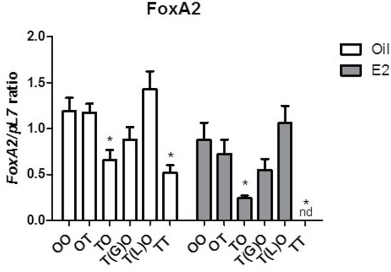 FIG. 10.