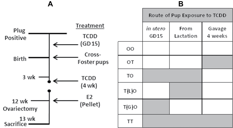 FIG. 6.