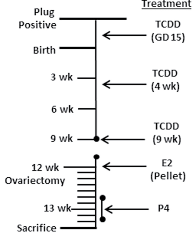 FIG. 1.