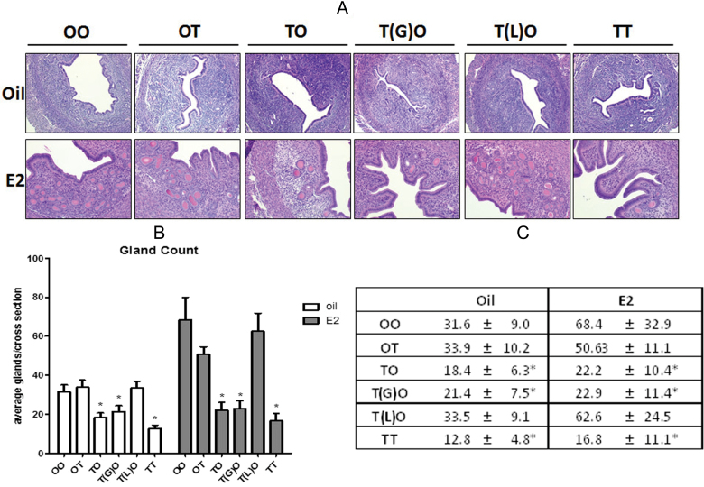 FIG. 9.