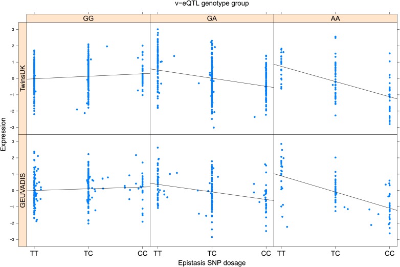 Figure 2—figure supplement 12.