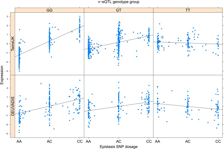 Figure 2—figure supplement 8.