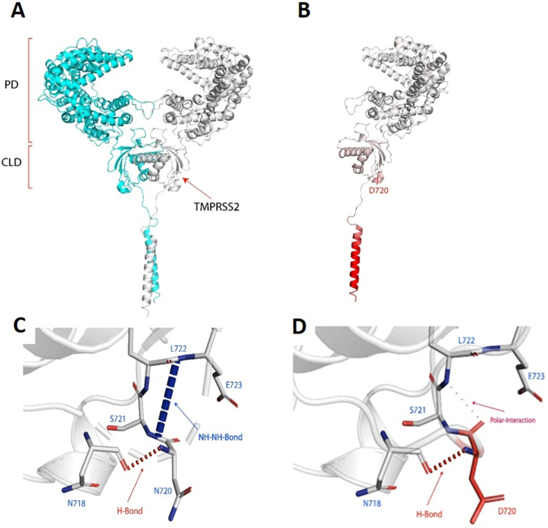 Figure 3