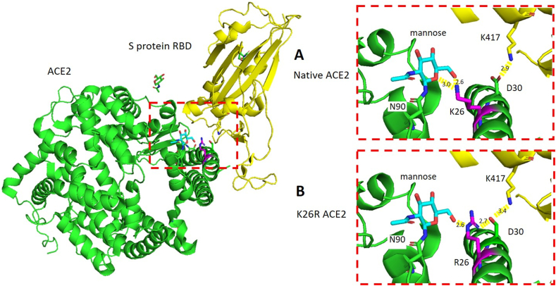 Figure 2