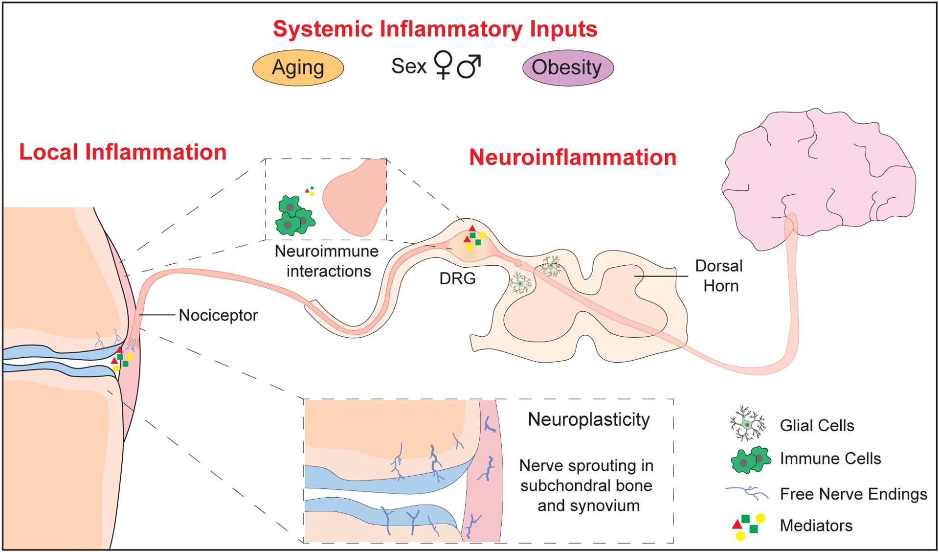 Figure 1: