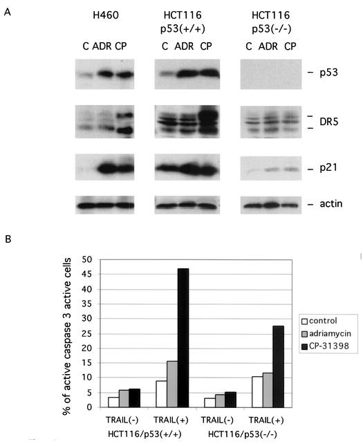 FIG. 7.