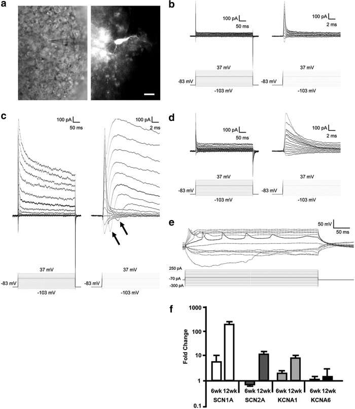 FIG. 8.