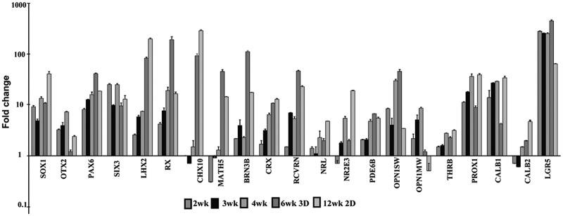 FIG. 1.