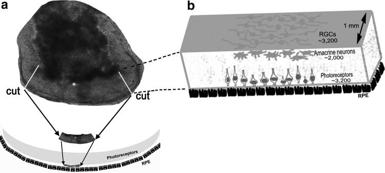 FIG. 9.