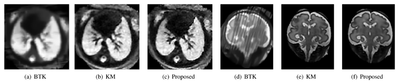 Fig. 10