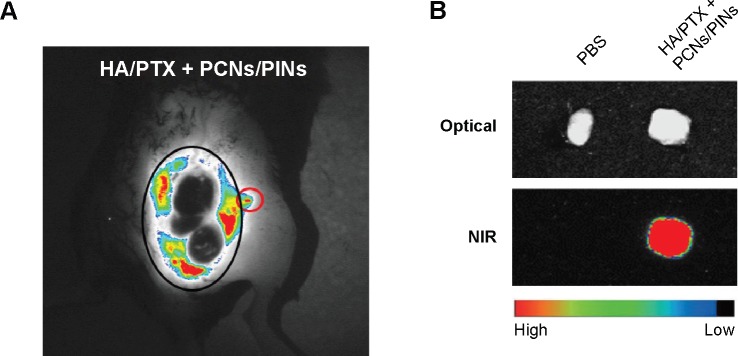 Figure 9